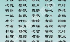 宋起名字大全女孩(宋起名字大全女孩四个字)