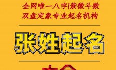 起名张姓女孩子(起名张姓女孩子大全)