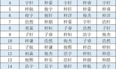 免费起名男孩(免费起名男孩,带新字的)