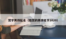 樊字男孩起名（姓樊的男孩名字2020）