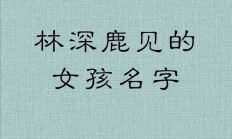诗词起名女孩(诗词起名女孩名字属兔寓意洒脱大方)