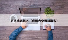 男孩成语起名（成语大全男孩取名）