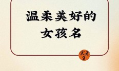 林字起名女孩名字(林字名字女孩简单大气)