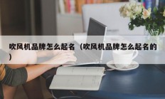 吹风机品牌怎么起名（吹风机品牌怎么起名的）