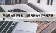 给姓董的男孩起名（姓董男孩的名字响亮寓意好）