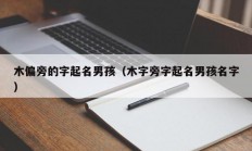 木偏旁的字起名男孩（木字旁字起名男孩名字）