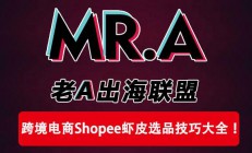 虾皮店铺起名(虾皮店名字取中文还是英文)