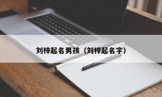 刘梓起名男孩（刘梓起名字）