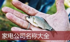 家电店铺起名(家电的店名大全)