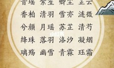 孔起名字女孩(孔怎么取名女孩)
