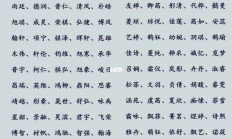 起名女孩(王姓起名女孩)