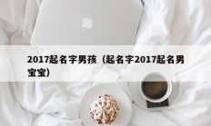 2017起名字男孩（起名字2017起名男宝宝）