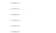 公司起名查重(公司起名查重名怎么查)