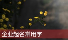 店铺起名网取名(店铺起名网取店铺名字)