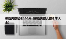 柳姓男孩起名100分（柳姓男孩女孩名字大全）