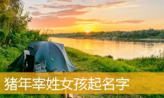 给女孩起名(用彤字给女孩起名)
