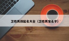 卫姓男孩起名大全（卫姓男宝名字）