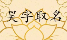 魏女孩起名(魏女孩子取名)