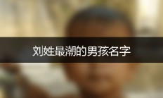 男孩起名刘(男孩起名刘建什么)