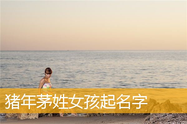 女孩怎么起名(女孩怎么起名字)