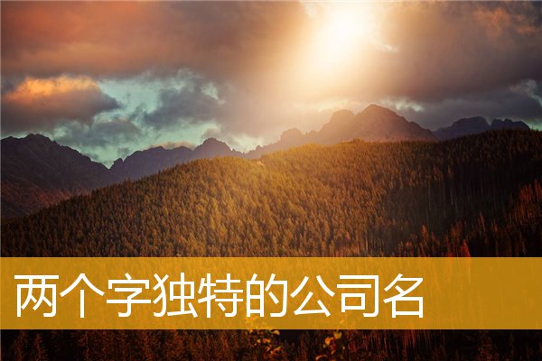 公司起名两个字(公司起名两个字参考)