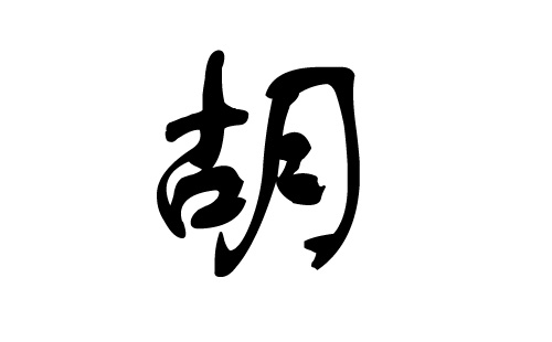 胡姓女孩起名(胡姓女孩起名字)
