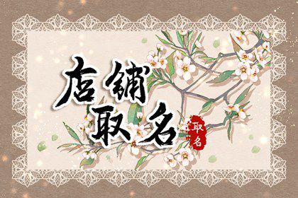 软件店铺起名(软件店铺起名字大全)