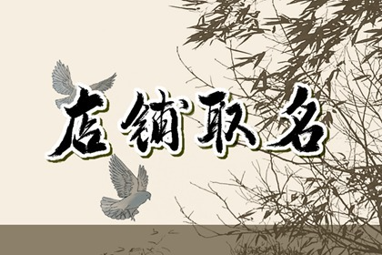 网店铺起名(网店铺起名字大全)