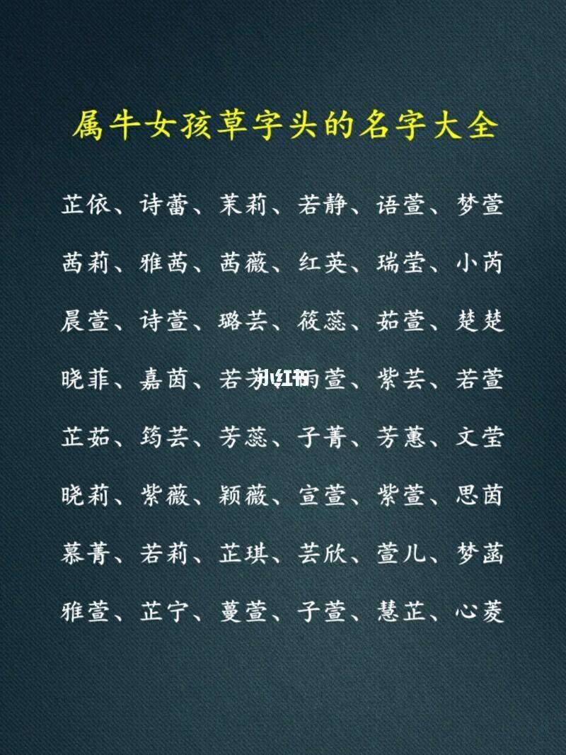 生女孩起名字(生女孩取什么名字好)